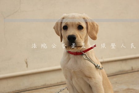 法院公告是否必须登人民法院报 法院公告是否必须登人民法院报
