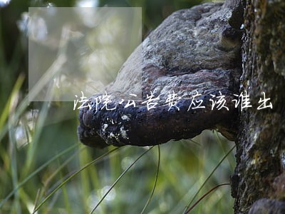 法院公告费应该谁出 法院公告费应该谁出