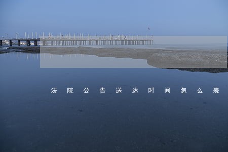 法院公告送达时间怎么表述