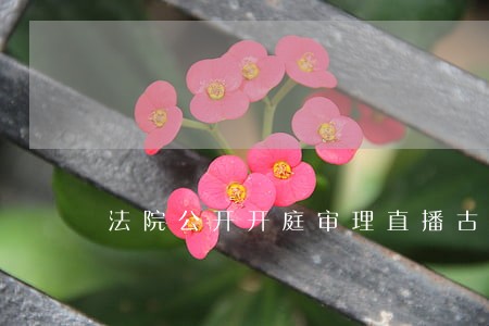 法院公开开庭审理直播古浪县