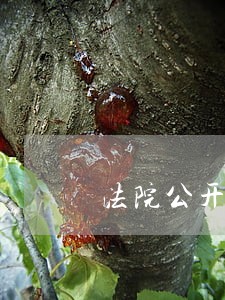 法院公开拍卖房产房款何时到账 法院公开拍卖房产房款何时到账