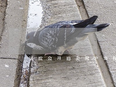 法院公开拍卖房产流程 法院公开拍卖房产流程