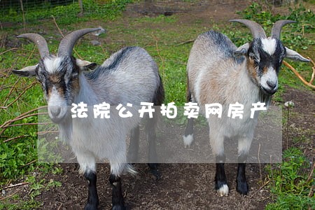 法院公开拍卖网房产 法院公开拍卖网房产