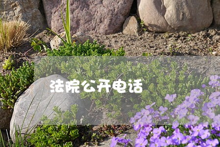 法院公开电话 法院公开电话