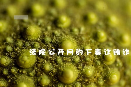 法院公开网的下毒诈赌诈骗案 法院公开网的下毒诈赌诈骗案