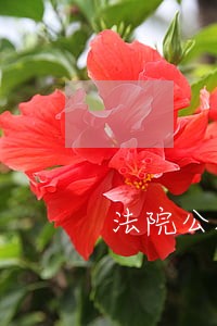 法院公报观点集成 法院公报观点集成