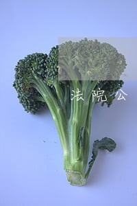 法院公文包 法院公文包