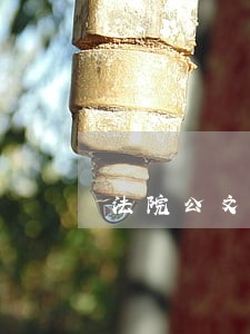 法院公文格式字体要求 法院公文格式字体要求