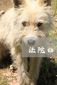 法院公示流程 法院公示流程