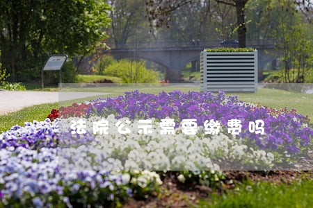 法院公示需要缴费吗 法院公示需要缴费吗
