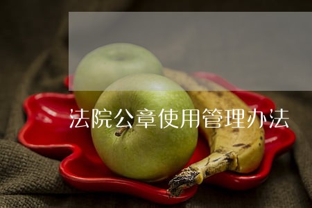 法院公章使用管理办法 法院公章使用管理办法