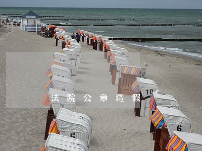 法院公章造假