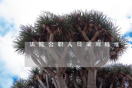 法院公职人员录用标准