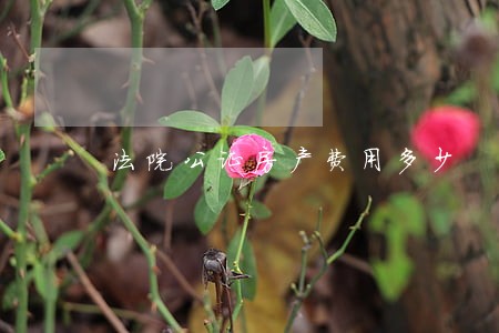 法院公证房产费用多少 法院公证房产费用多少
