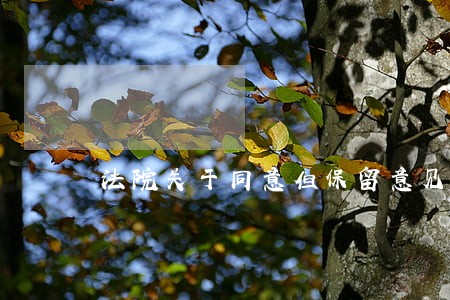 法院关于同意但保留意见 法院关于同意但保留意见