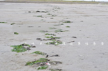 法院关于审理政策性房屋 法院关于审理政策性房屋