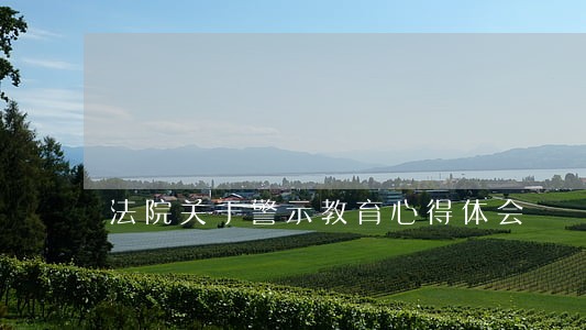 法院关于警示教育心得体会 法院关于警示教育心得体会