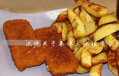 法院关于集体土地租赁合同