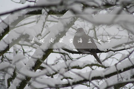 法院内蒙古海立电子 法院内蒙古海立电子