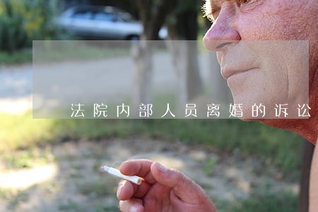 法院内部人员离婚的诉讼