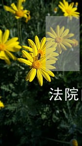 法院内部监督的比较分析 法院内部监督的比较分析