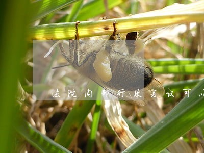法院内部行政复议可以起诉