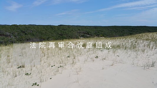 法院再审合议庭组成 法院再审合议庭组成