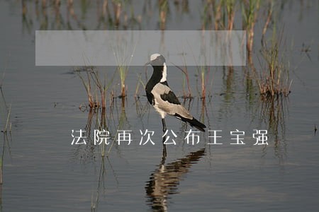 法院再次公布王宝强 法院再次公布王宝强