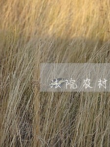 法院农村土地纠纷抵押贷款 法院农村土地纠纷抵押贷款