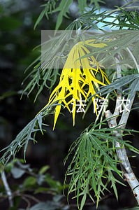 法院农民工工资标准 法院农民工工资标准