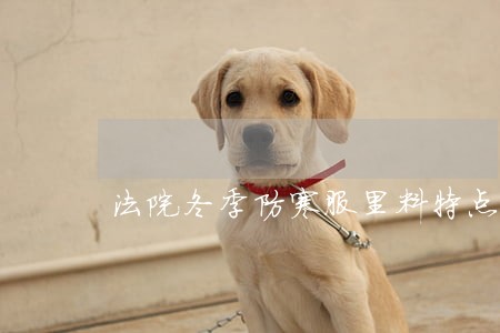 法院冬季防寒服里料特点 法院冬季防寒服里料特点