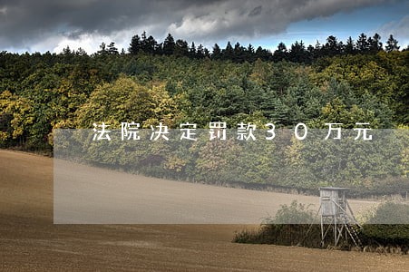 法院决定罚款30万元 法院决定罚款30万元