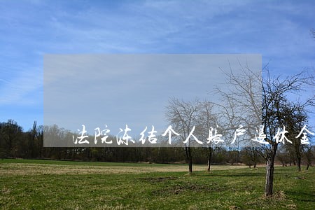 法院冻结个人账户退休金 法院冻结个人账户退休金