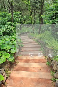 法院冻结了别人的卡 法院冻结了别人的卡