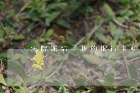 法院冻结了我的银行卡和微信钱包 法院冻结了我的银行卡和微信钱包