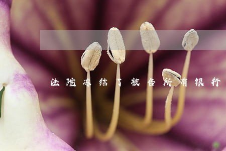 法院冻结了被告所有银行卡 法院冻结了被告所有银行卡