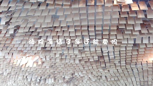 法院冻结了车还能卖吗 法院冻结了车还能卖吗