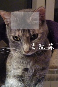法院冻结令是否冻结所有银行卡 法院冻结令是否冻结所有银行卡