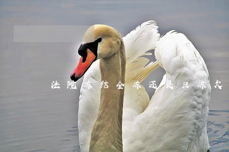 法院冻结全冻还是只冻欠款 法院冻结全冻还是只冻欠款