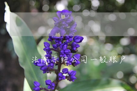 法院冻结公司一般账户 法院冻结公司一般账户