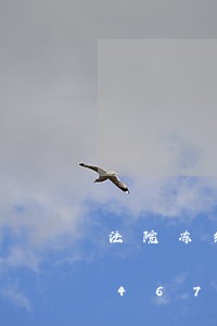 法院冻结前取走钱违法吗/2023020467331 法院冻结前取走钱违法吗/2023020467331
