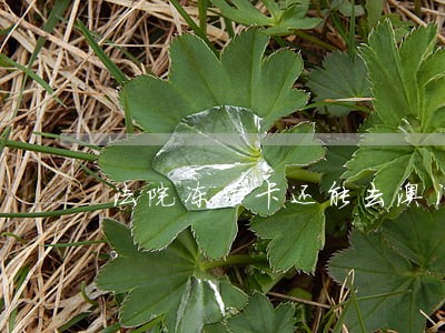 法院冻结卡还能去澳门吗