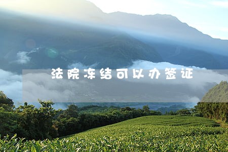 法院冻结可以办签证 法院冻结可以办签证