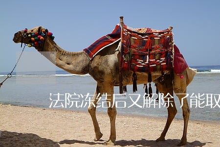 法院冻结后又解除了能取吗