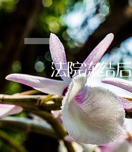 法院冻结后现金交易违法吗 法院冻结后现金交易违法吗