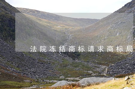 法院冻结商标请求商标局协助