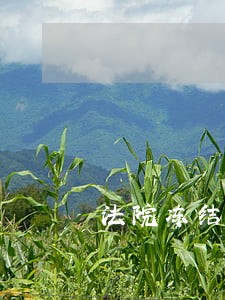 法院冻结够欠款后还会继续冻结吗 法院冻结够欠款后还会继续冻结吗
