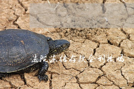 法院冻结存款会划拨吗 法院冻结存款会划拨吗