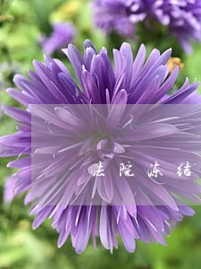 法院冻结存款到期后会怎么样 法院冻结存款到期后会怎么样