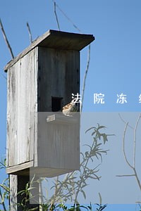 法院冻结存款后能怎样 法院冻结存款后能怎样